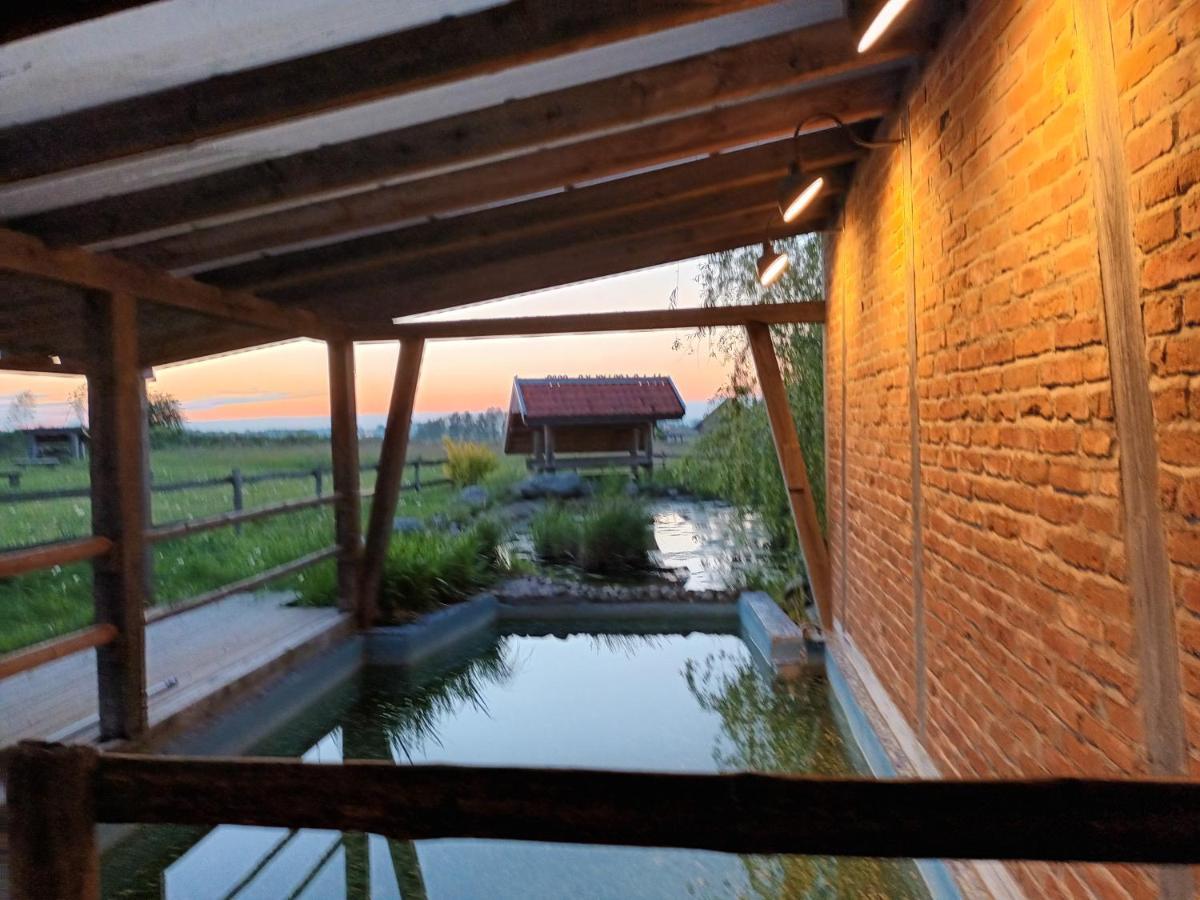 Dom Habass Villa Zdory Bagian luar foto